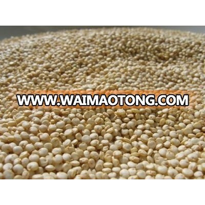 White Quinoa For Sell