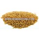 Top Quality Organic Alfalfa Seeds / Natural Alfalfa Seeds