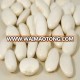 white kidney beans / butter bean